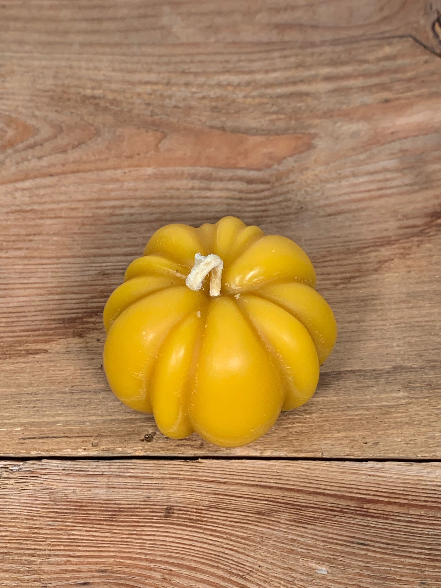 Candela cera d'api Zucca