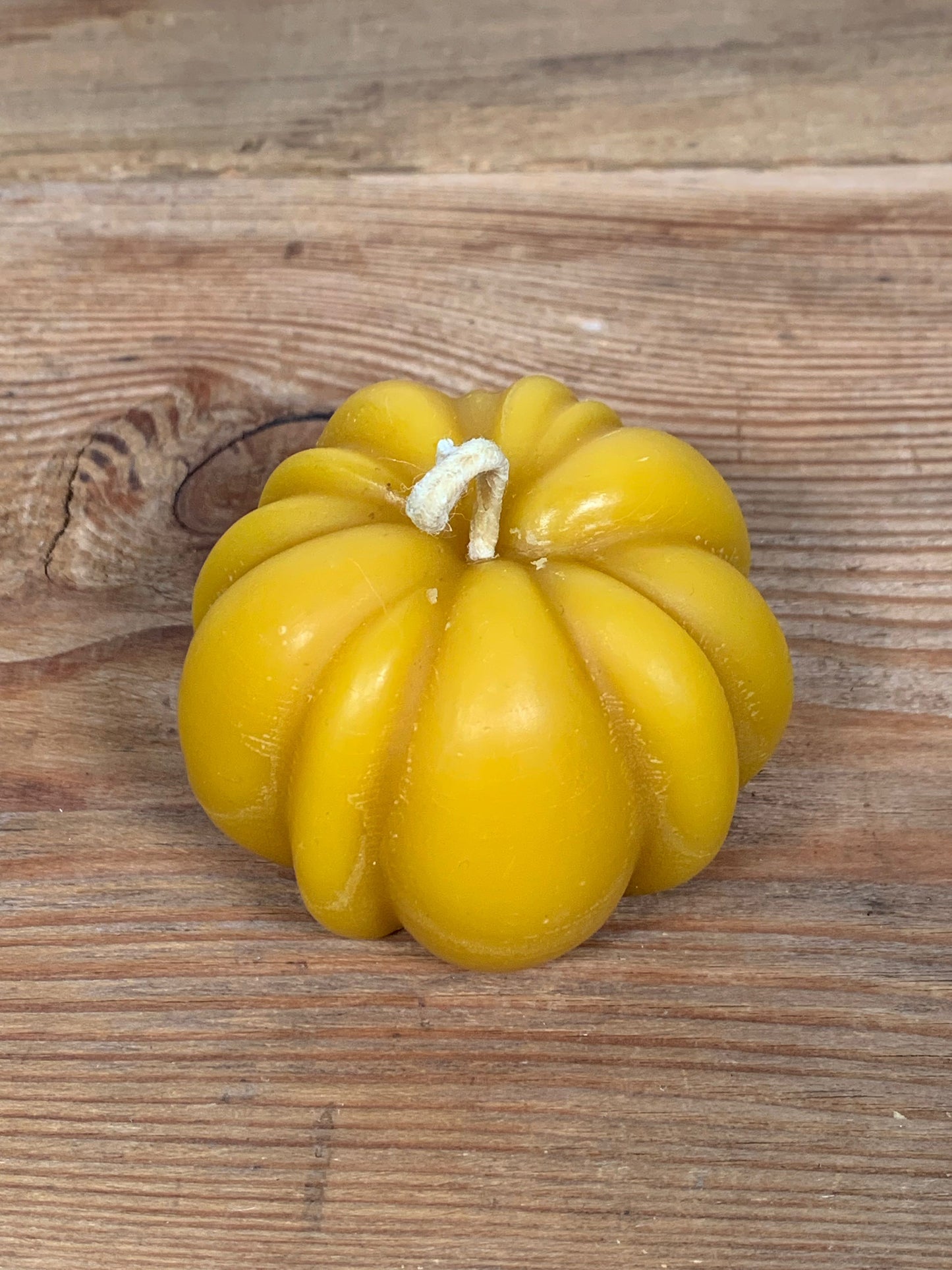 Candela cera d'api Zucca