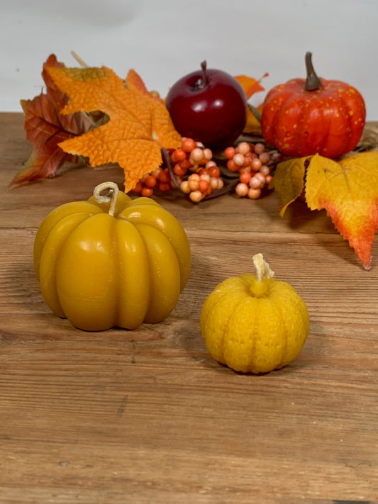 Candela cera d'api Zucca